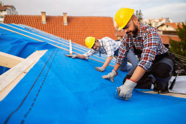 Best New Roof Installation  in Lansing, KS