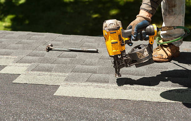Best Roof Gutter Cleaning  in Lansing, KS