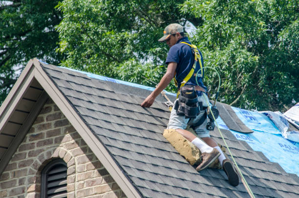 Best Gutter Installation and Roofing  in Lansing, KS